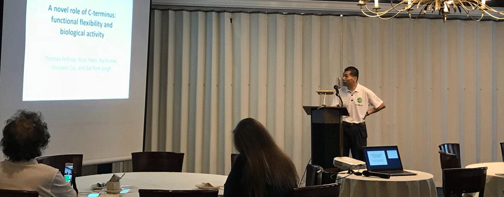 Dr Cai's presentation at BRC 2018